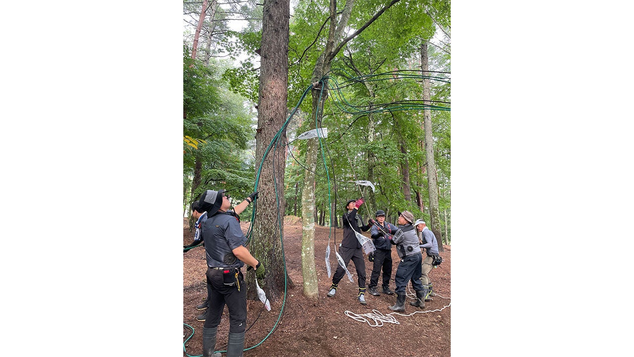 ゴルフ場内の木を使用してケーブルを設置