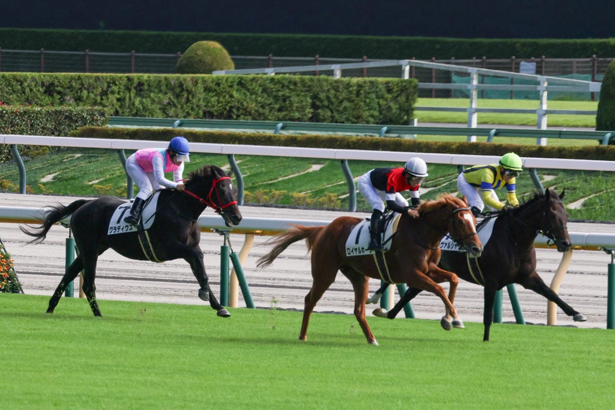 日曜劇場『ザ・ロイヤルファミリー』劇中写真