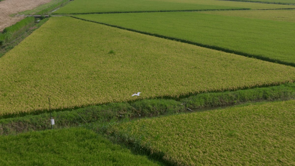 BS-TBSドラマ『ゲームチェンジ』劇中写真