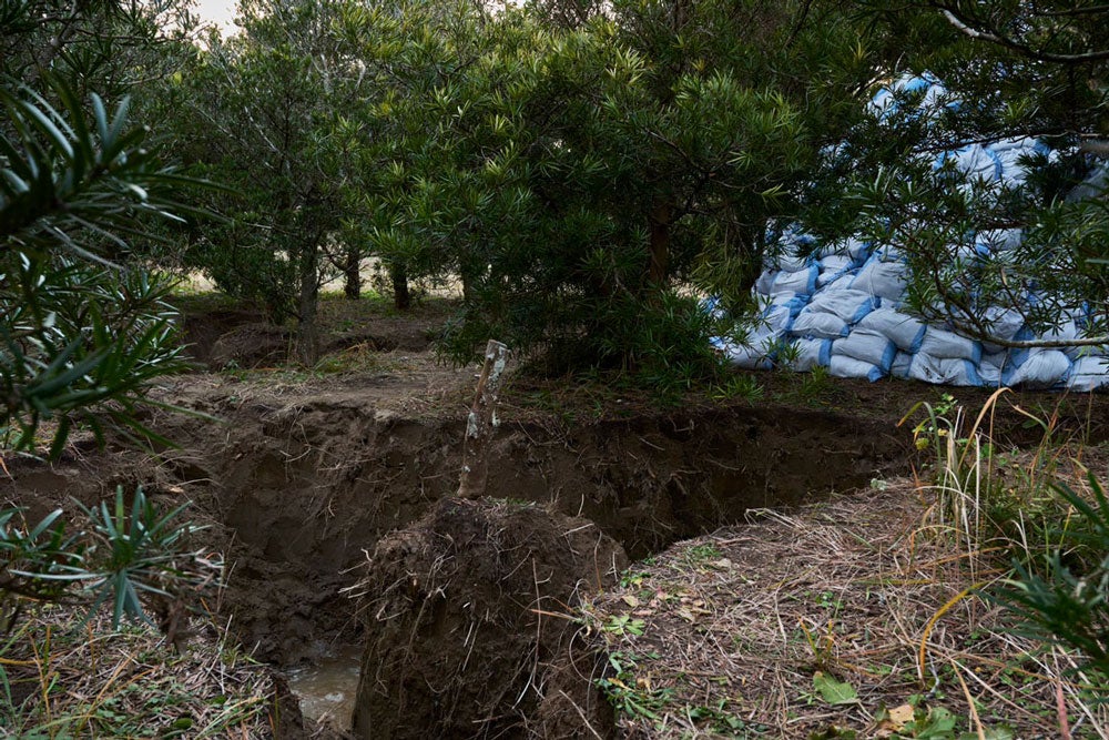 井上修志さんが手がけた作品（撮影：若林勇人）